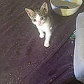 Nicole C.