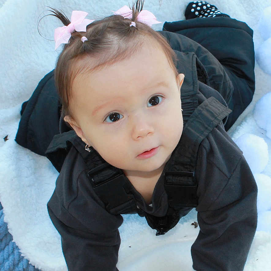 Jaydin Marlee is registered to the contest to win money with this photo: baby, black_outfit, blanket, child, clothing, crawling, curious, cute, earrings, expression, face, hands, head, infant, outdoor, pink_bows, portrait, soft_texture, wide_eyes, young_child