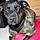 Sheeva