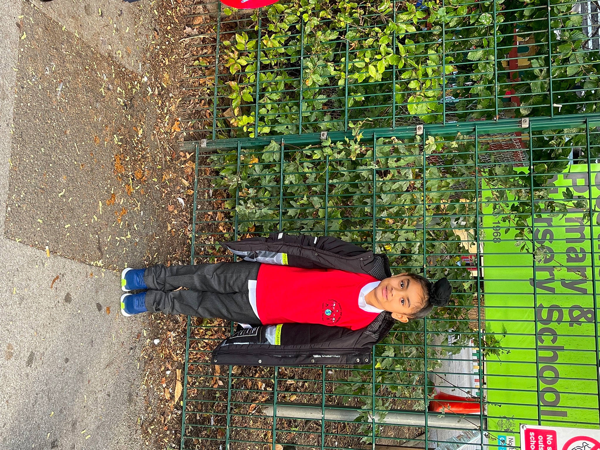 Ajit Singh is registered to the contest to win money with this photo: asphalt, concrete, facade, grass, hedge, jacket, joy, line, pedestrian, people_in_nature, person, plant, road_surface, shadow, shrub, sidewalk, street, tree, walking_shoe, wall