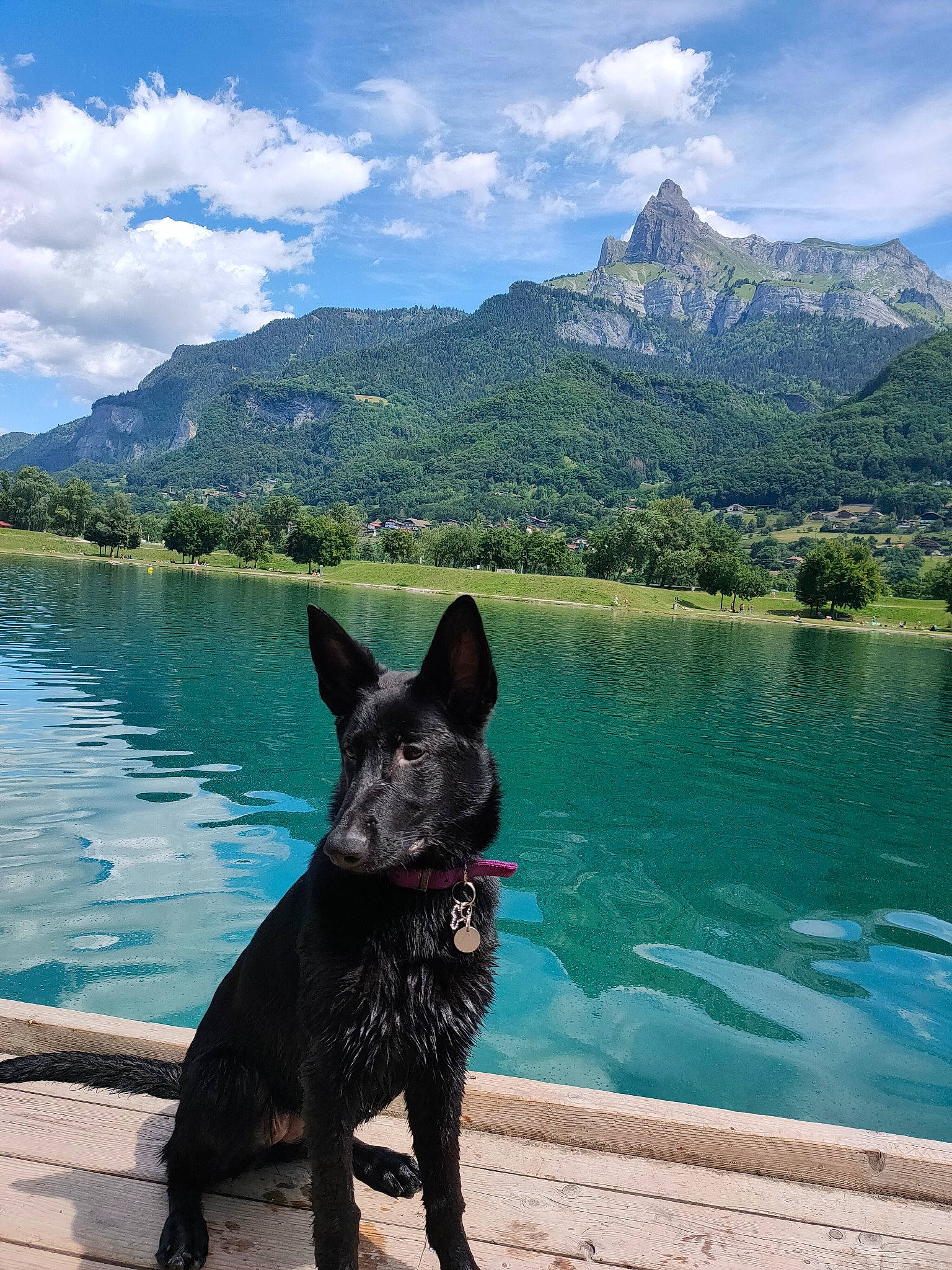 Judy participe au concours pour gagner de l'argent avec cette photo : adventure, canidae, carnivore, cloud, dog, dog_breed, formosan_mountain_dog, lake, mountain, mountain_range, national_park, river, schipperke, sea, sky, sporting_group, tourism, tree, vacation