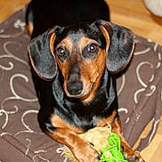 Bimba participe au concours pour gagner de l'argent avec cette photo :