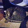 cat, tabby, sleeping, furniture, indoor, cozy, animal, pet, resting, striped, paw, whiskers, quiet, home, domestic, cute, mammal, fur, relaxing, sleep