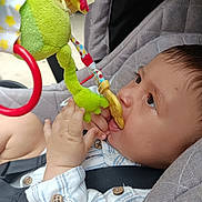 Smaïl a rejoint le concours — aidez-le/la à gagner de superbes lots ! baby, child, toy, plush_toy, stroller, seatbelt, gray_cushion, hand, face, profile, clothing, button, curious, chewing, indoor, closeup, infant, cute, young_child, sitting