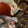 Maylee is registered to the contest to win money with this photo: baby, dog, pacifier, blanket, pillow, sleeping, white_dog, newborn, infant, cozy, resting, indoor, fur, patterned_blanket, animal, human, cute, comfort, peaceful, soft