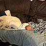 Maylee joined the competition — help win amazing prizes! baby, newborn, dog, white_dog, black_dog, blanket, couch, leather_couch, pet, animal, infant, resting, sleeping_baby, cozy, home, indoor, cute, family, protective, comfort