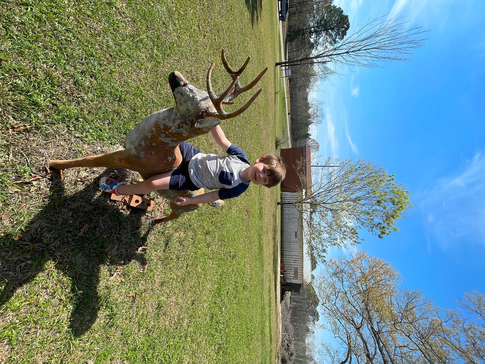 Daniel is registered to the contest to win money with this photo: cloud, deer, elk, fawn, fun, grass, horn, joy, leisure, people_in_nature, person, plant, recreation, reindeer, sky, tail, terrestrial_animal, tree, trunk, twig
