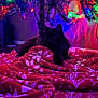 black_cat, cat, christmas_tree, christmas_lights, red_blanket, patterned_blanket, holiday, festive, indoor, cozy, decorations, colorful_lights, tree_trunk, pet, animal, feline, soft_texture, floor, wall, shadow