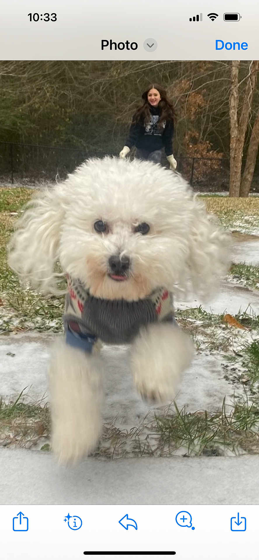 Louie