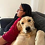 Maia joined the competition — help win amazing prizes! dog, golden_retriever, person, couch, indoor, relaxing, casual, pet, resting, comfortable, red_shirt, glasses, furniture, home, companion, portrait, friendly, animal, leisure, selfie