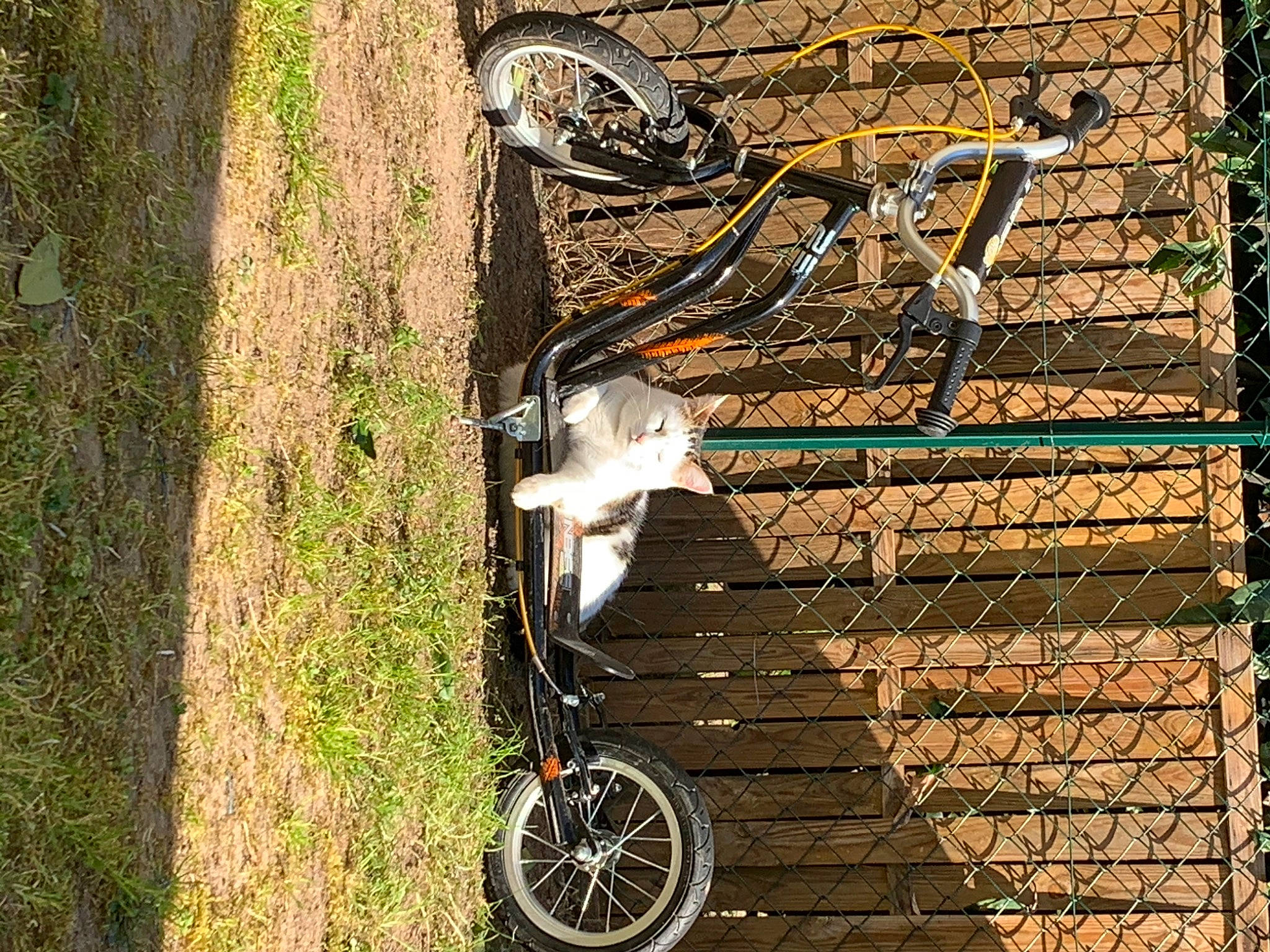 Chi a rejoint le concours — aidez-le/la à gagner de superbes lots ! bicycle, bicycle_accessory, bicycle_fork, bicycle_frame, bicycle_part, bicycle_saddle, bicycle_tire, bicycle_wheel, brick, cycling, hub_gear, hybrid_bicycle, mountain_bike, recreation, rim, spoke, sports_equipment, tree, vehicle, wheel