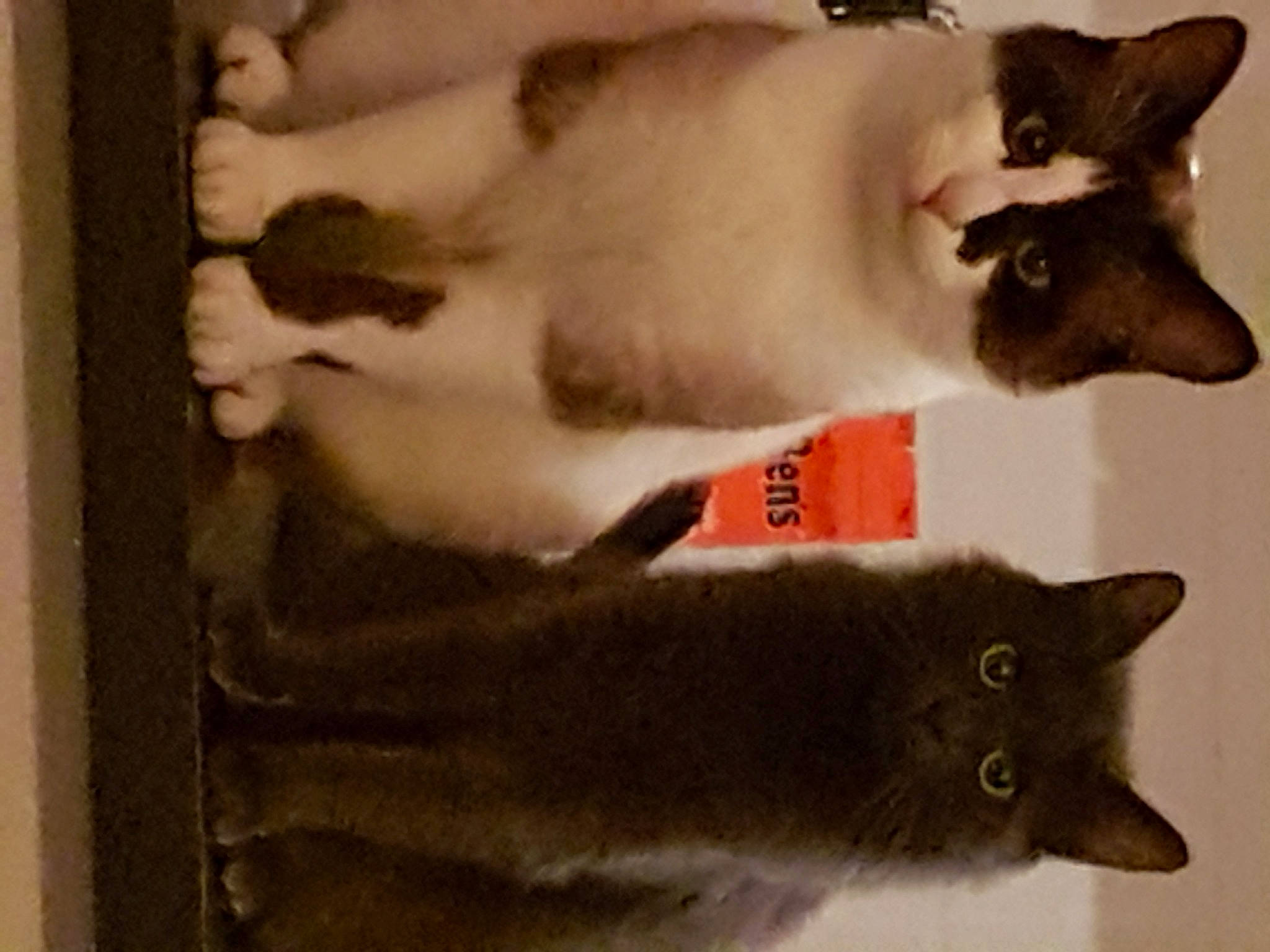Les Amoureux