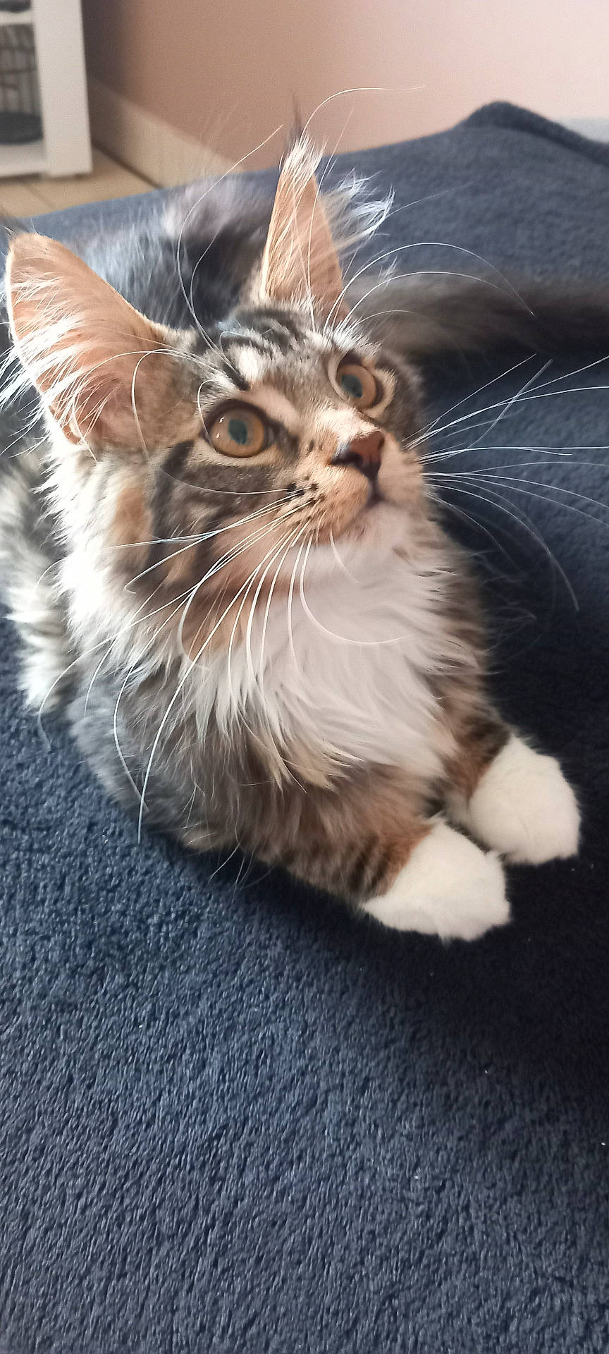 Bianca
