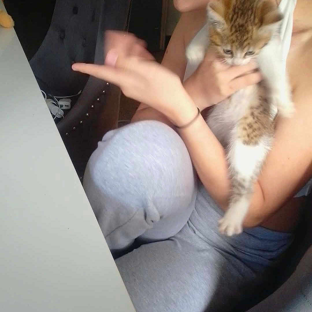 Nala