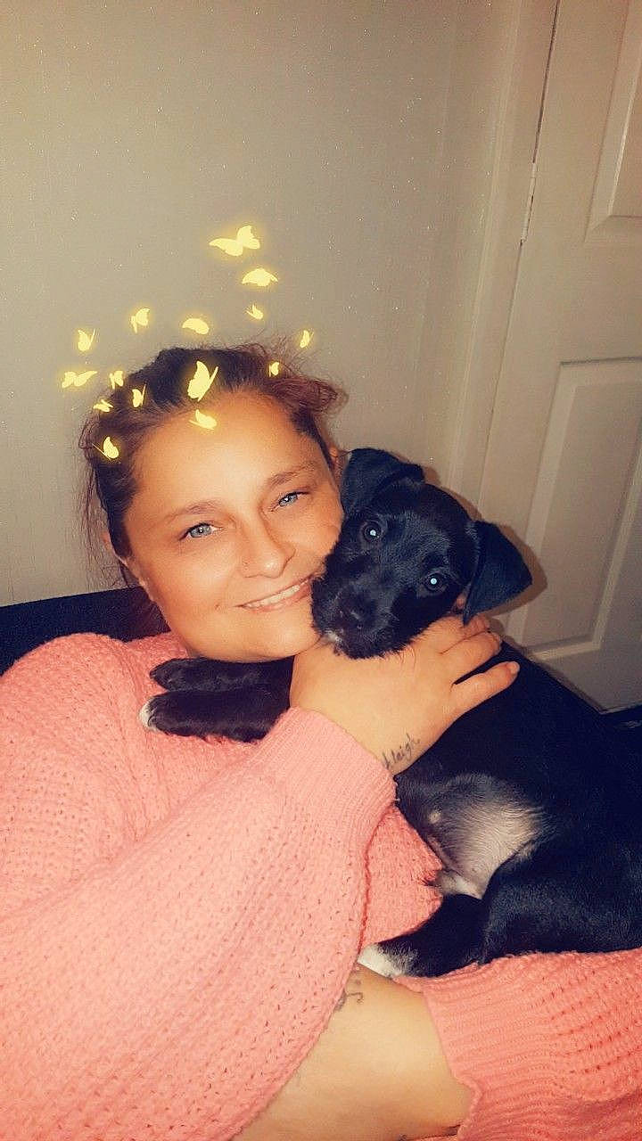 Ceaser joined the competition — help win amazing prizes! black, black_hair, carnivoran, child, dog, dog_breed, dog_like_mammal, ear, fun, girl, hair_accessory, hug, human_hair_color, joy, mammal, nose, person, puppy, skin, smile