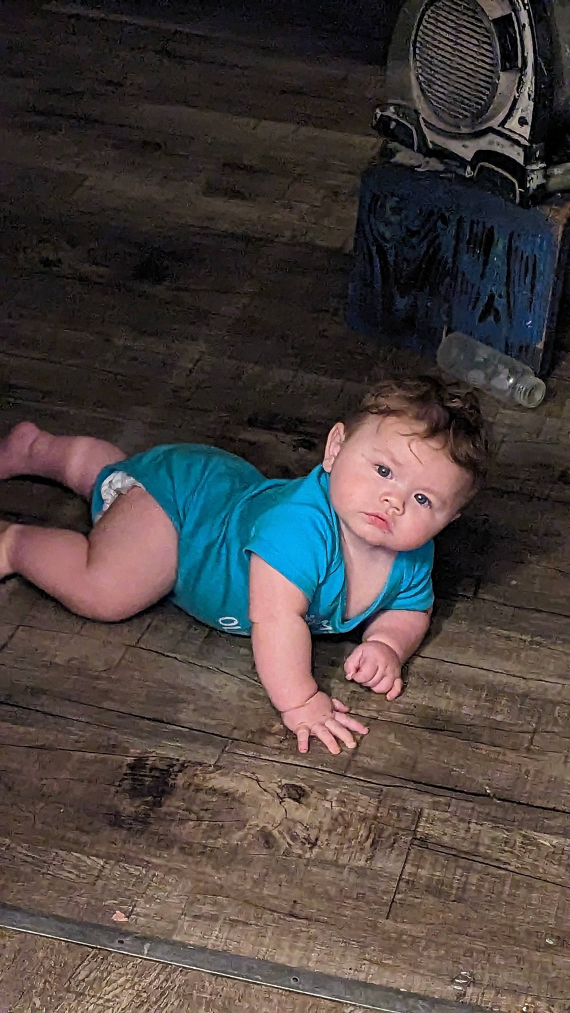 Christopher joined the competition — help win amazing prizes! baby, baby_toddler_clothing, cool, eye, face, flash_photography, flooring, foot, fun, grass, happy, head, leg, leisure, mammal, person, plant, skin, toddler, tree