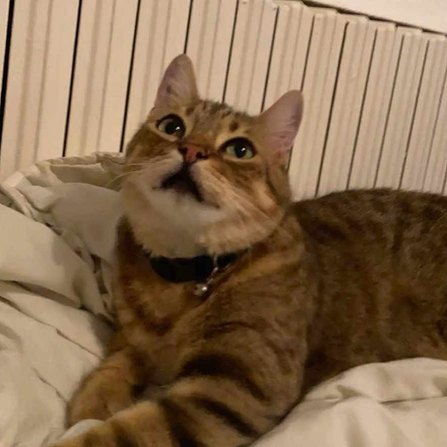 Prince