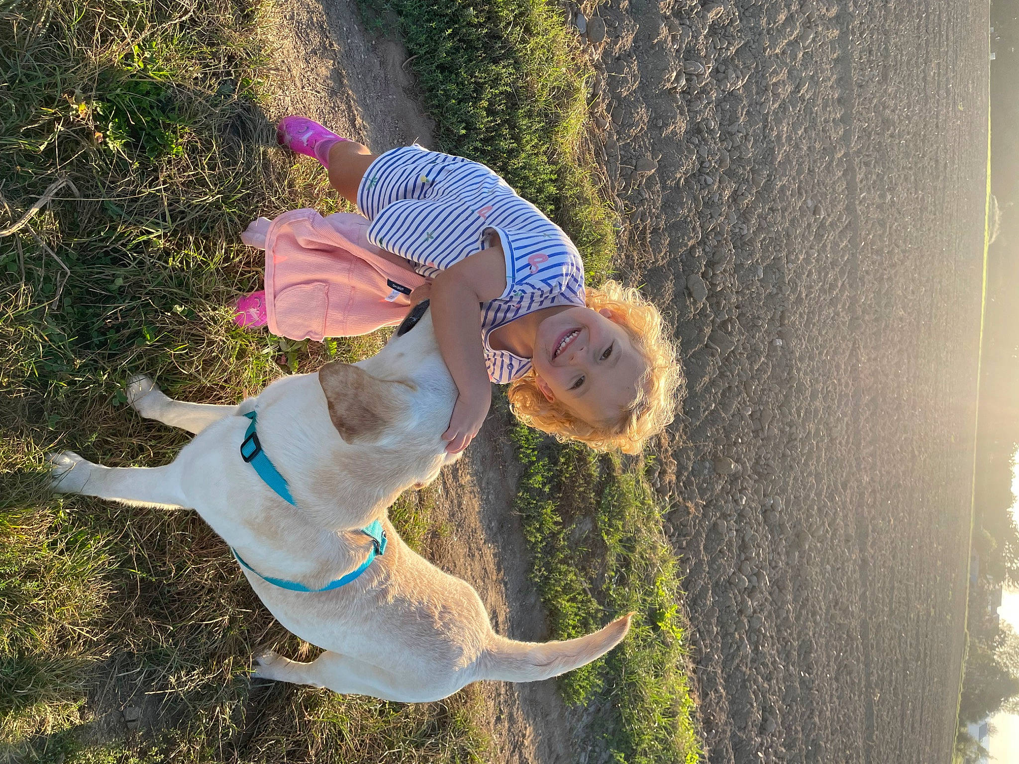 Miros a rejoint le concours — aidez-le/la à gagner de superbes lots ! adventure, dog, electric_blue, fun, grass, happy, hat, lake, landscape, leisure, people_in_nature, plant, recreation, tail, tree, water