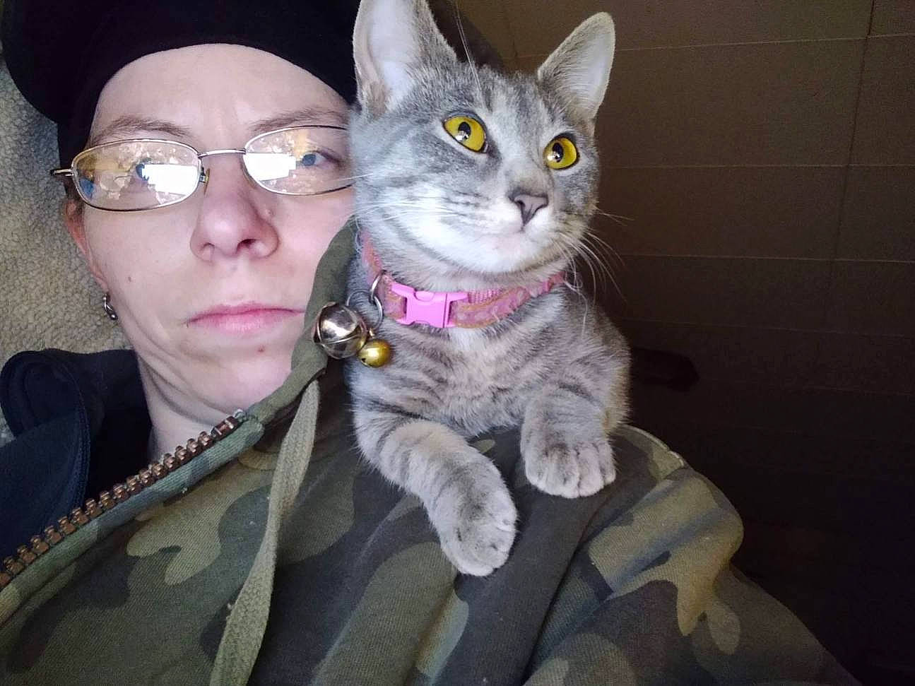 Jewel joined the competition — help win amazing prizes! carnivore, cat, couch, domestic_short_haired_cat, ear, eyewear, felidae, fur, gesture, glasses, hair, iris, paw, photo_caption, sitting, small_to_medium_sized_cats, snout, tail, vision_care, whiskers