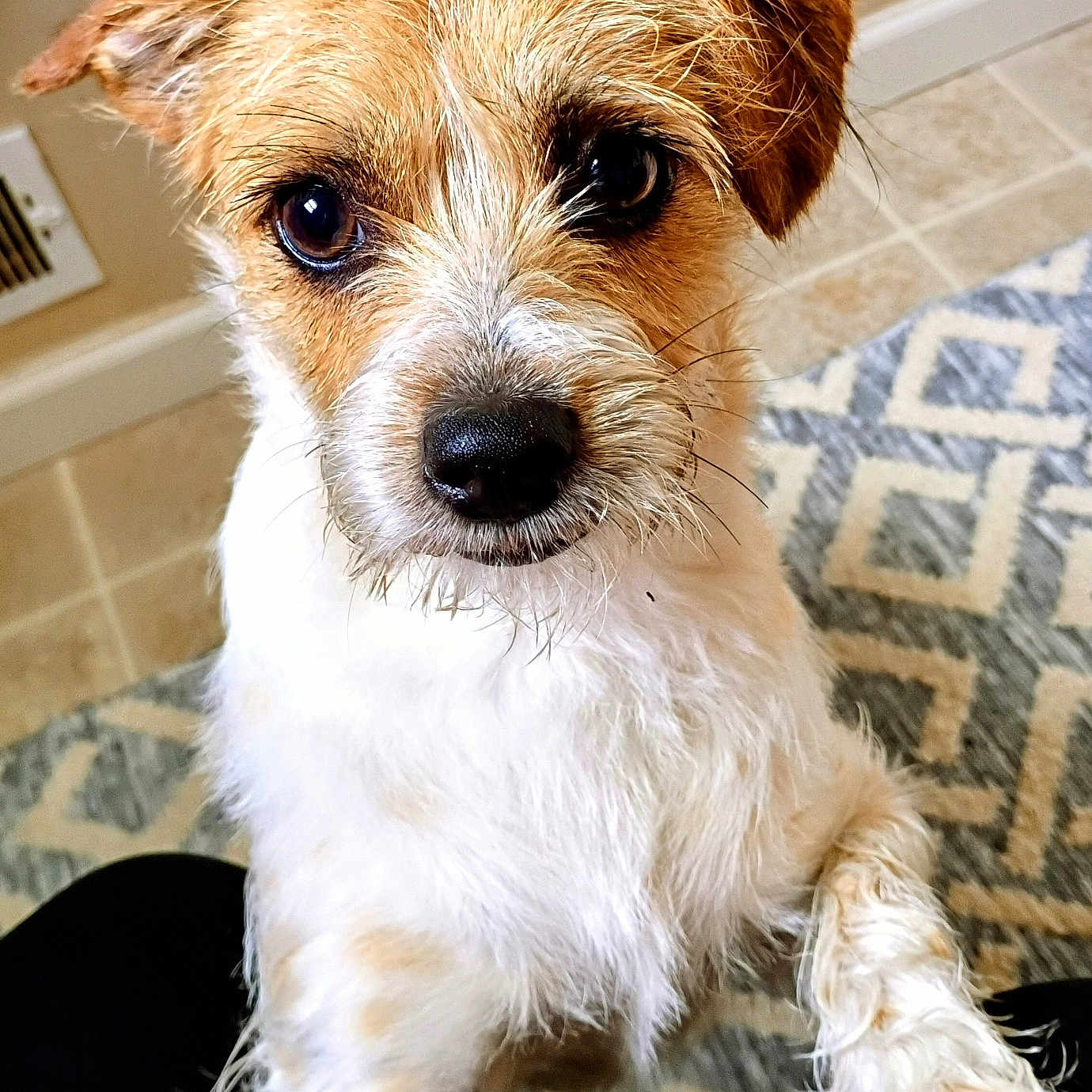 Charlie