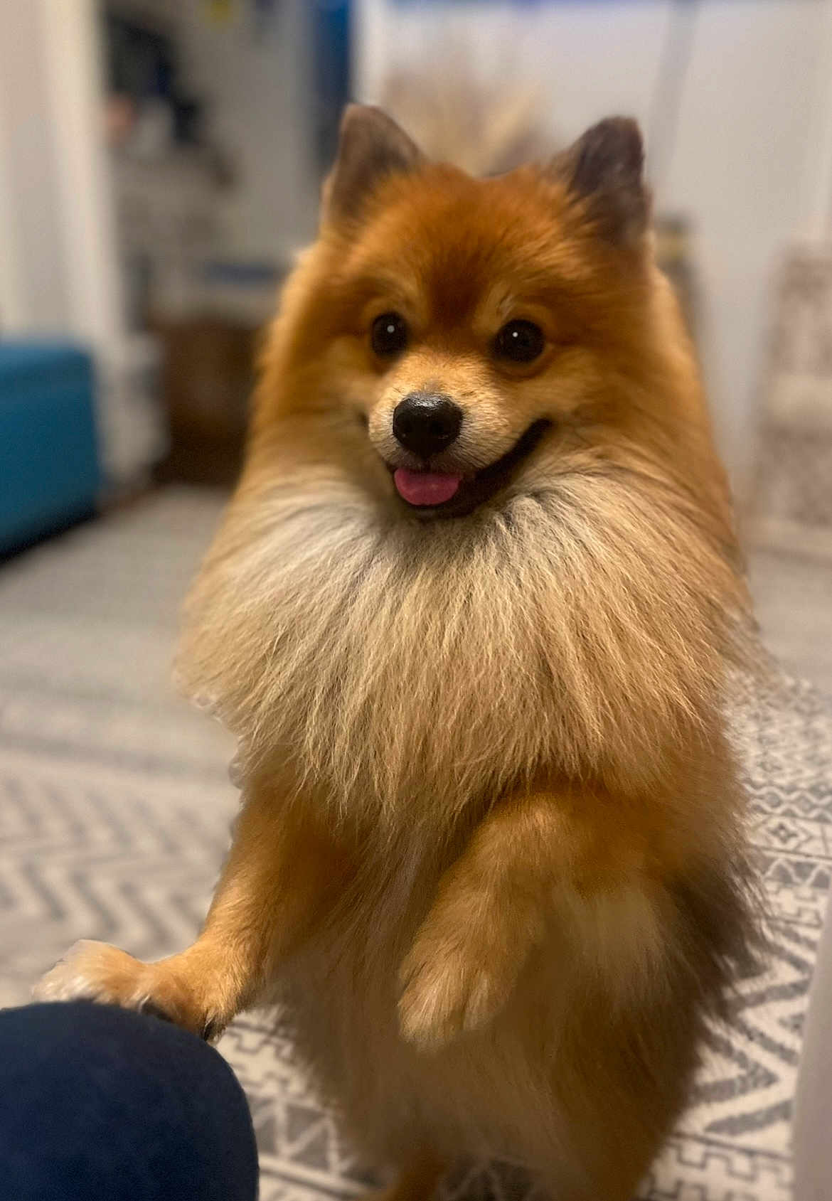 Cosmo