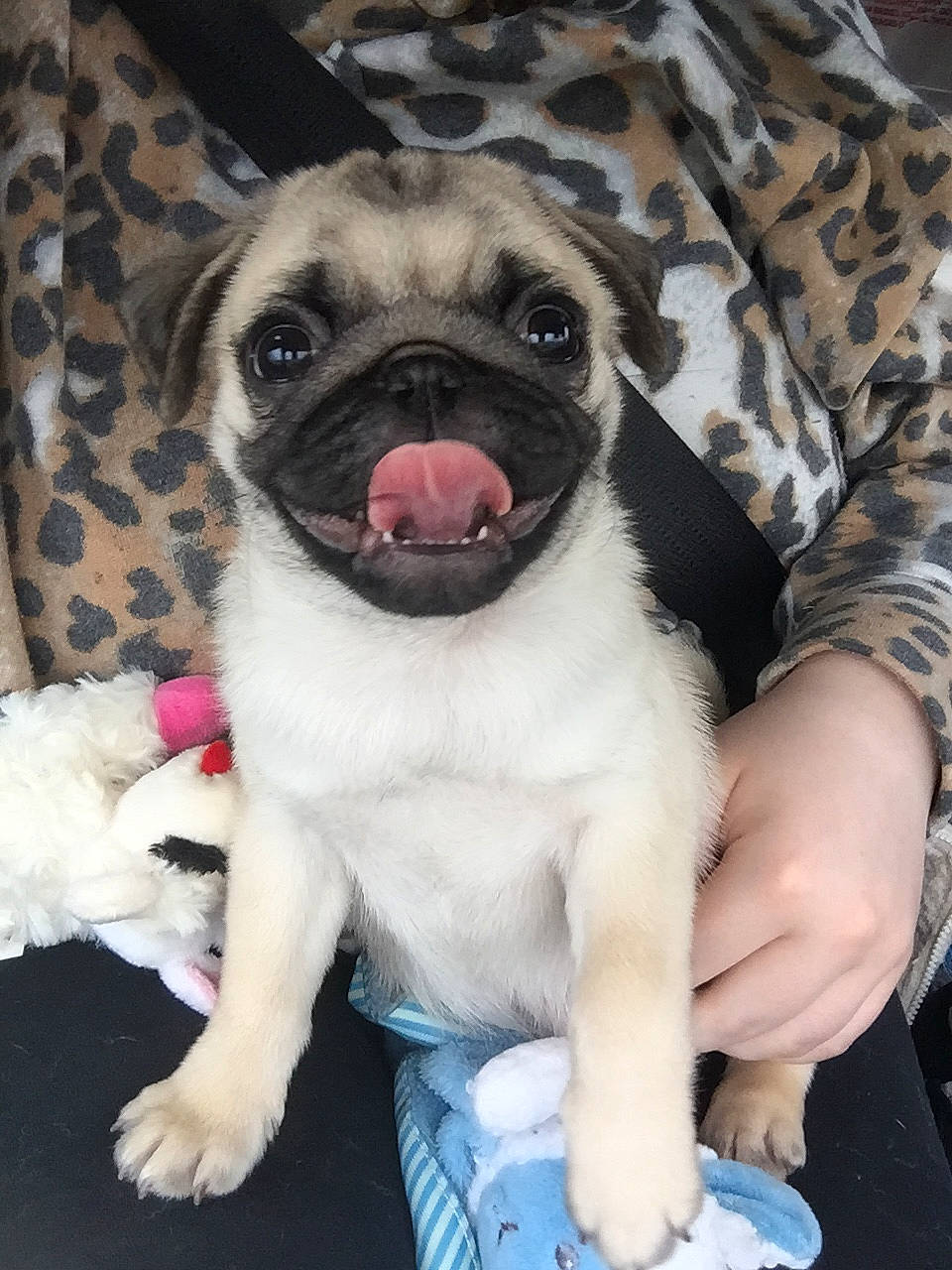 Oliver