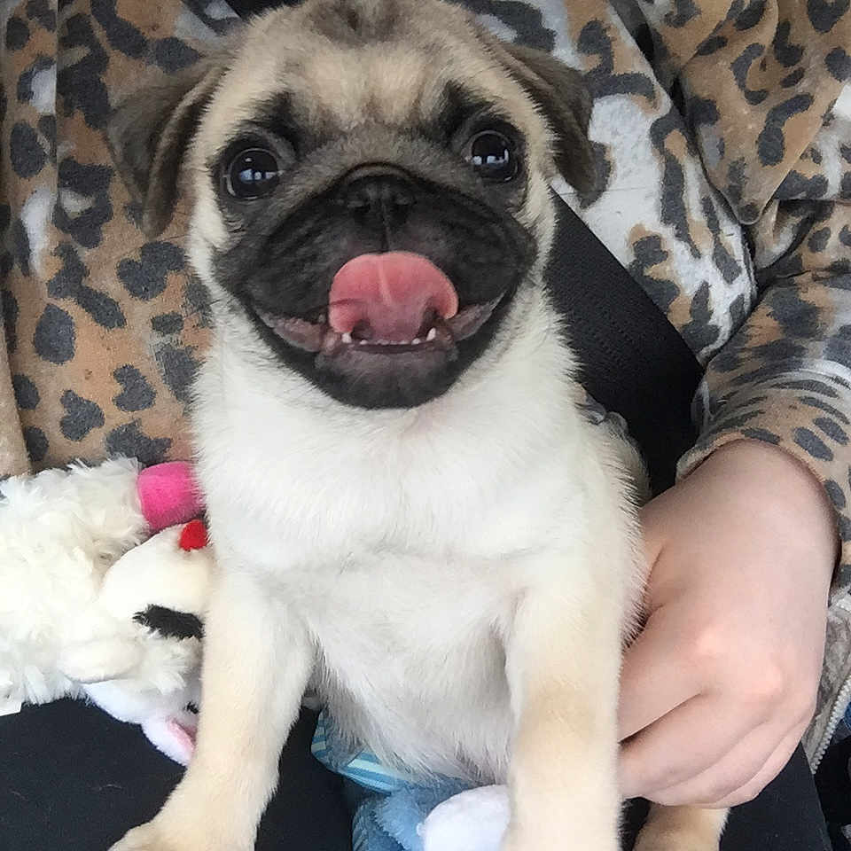 Oliver