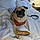Oliver The Pug