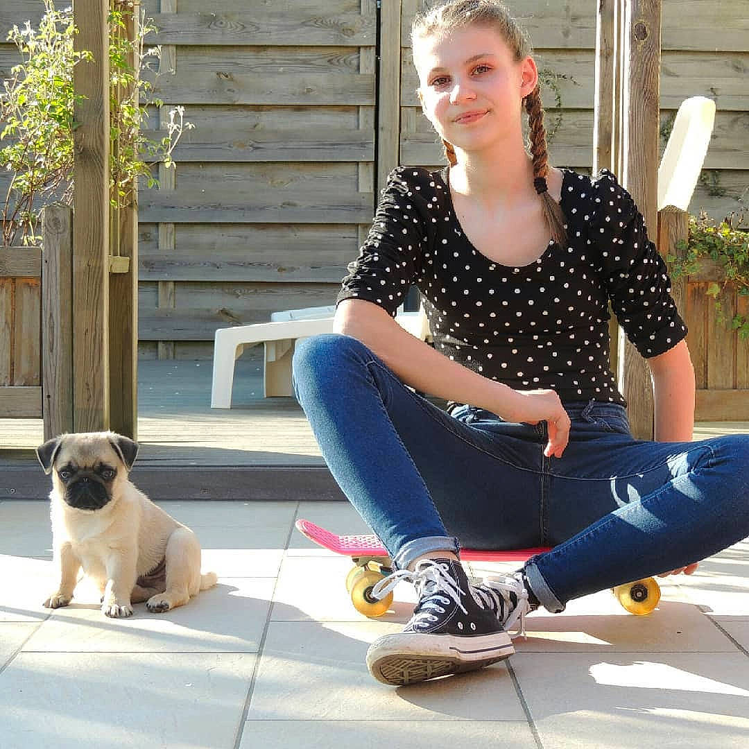 Ralfy participe au concours pour gagner de l'argent avec cette photo : canidae, carnivore, companion_dog, design, dog, dog_breed, dog_walking, fawn, jeans, leg, pug, puppy, puppy_love, shoe, sitting, sporting_group, toy_dog, vacation