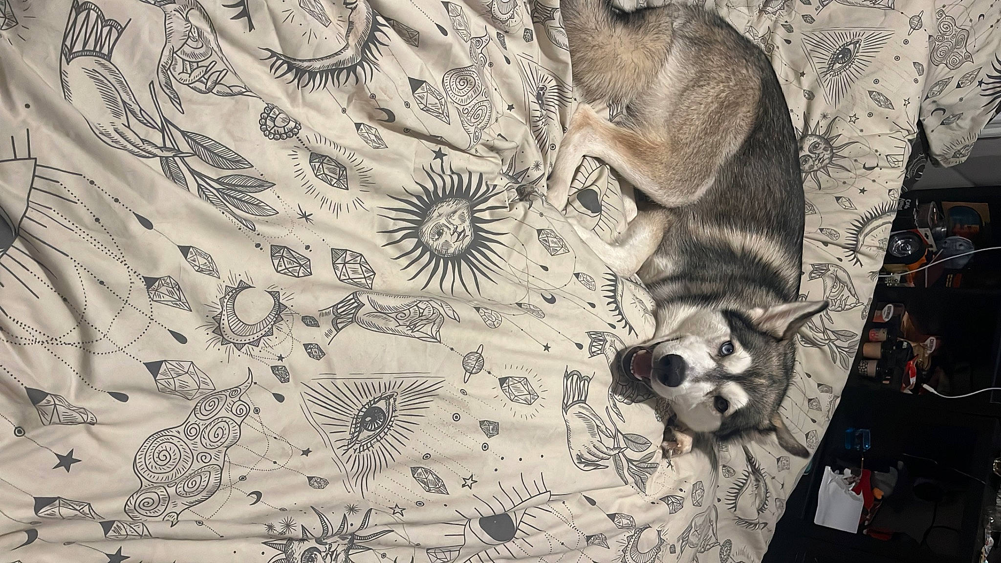 Eska joined the competition — help win amazing prizes! art, black_and_white, drawing, fawn, flooring, font, fur, grey, illustration, linens, monochrome, monochrome_photography, organism, painting, pattern, snout, style, textile, visual_arts, whiskers