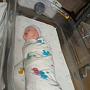 Cylas is registered to the contest to win money with this photo: newborn, baby, swaddle, bassinet, crib, hospital, blanket, beanie, sleeping, duck_pattern, plastic_bassinet, sheet, medical_supplies, wipes, cardboard_box, indoors, portrait, peaceful, infant, nursery