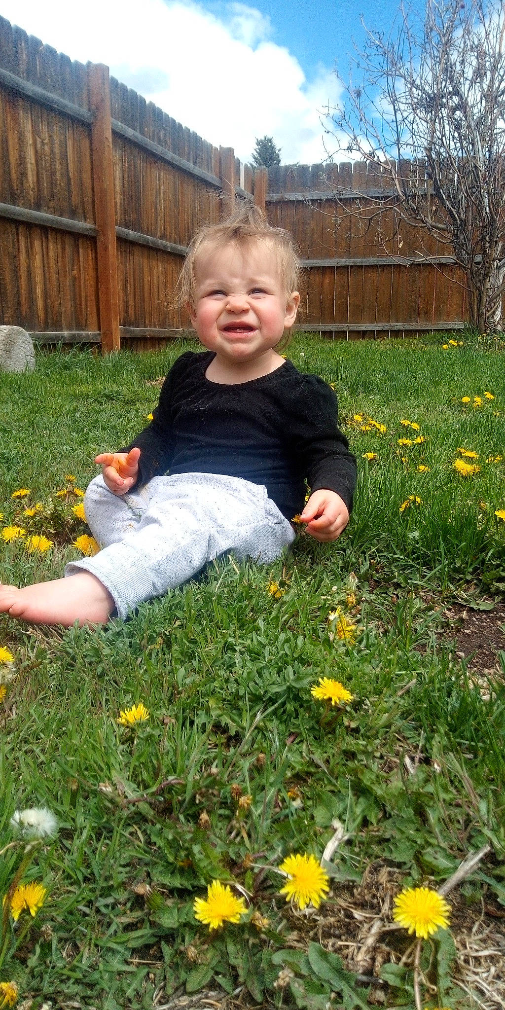 Eleanor joined the competition — help win amazing prizes! annual_plant, botany, child, flower, garden, gardening, grass, groundcover, lawn, meadow, perennial_plant, person, plant, play, sorrow, spring, toddler, wildflower, yard