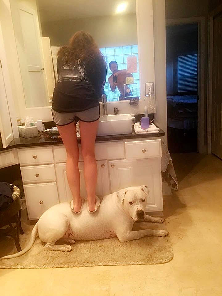 Elvis joined the competition — help win amazing prizes! abdomen, bichon, canidae, carnivore, companion_dog, dog, dog_breed, floor, flooring, guard_dog, house, human_leg, leg, non_sporting_group, puppy, room, sportswear, square