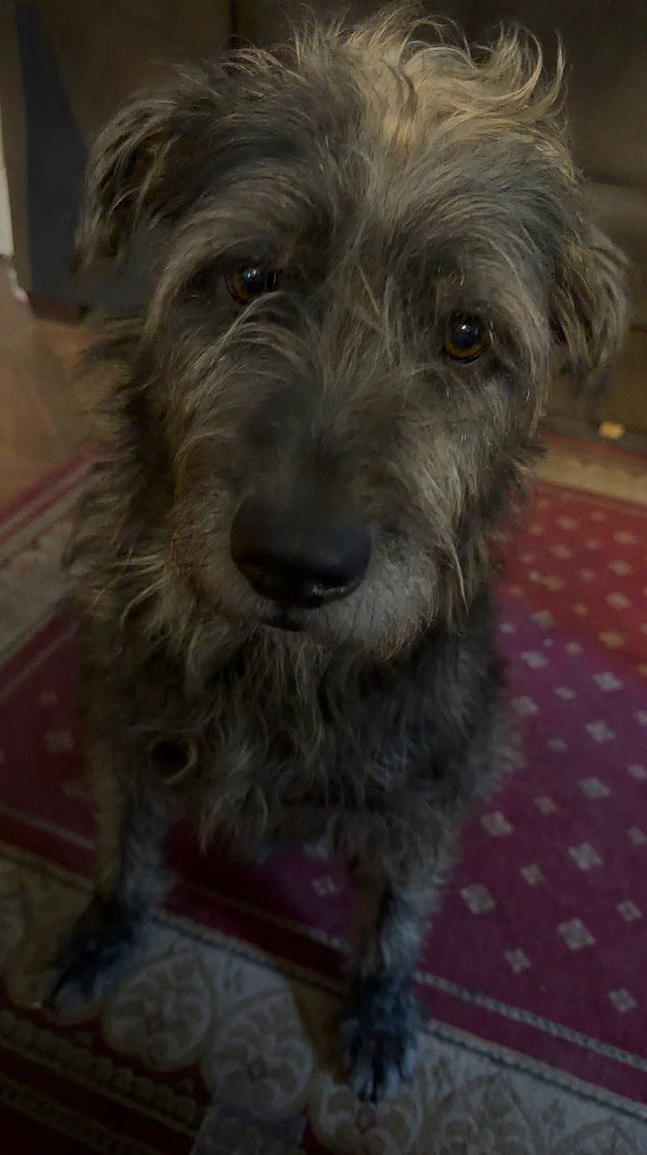 Max
