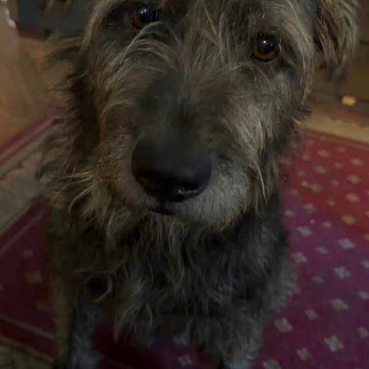 Max