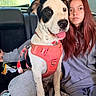 Lucy joined the competition — help win amazing prizes! dog, pet, harness, car, person, seat, window, red_hair, happy, tongue_out, leash, clothing, casual, indoor, transportation, canine, animal, young_adult, sitting, relaxed