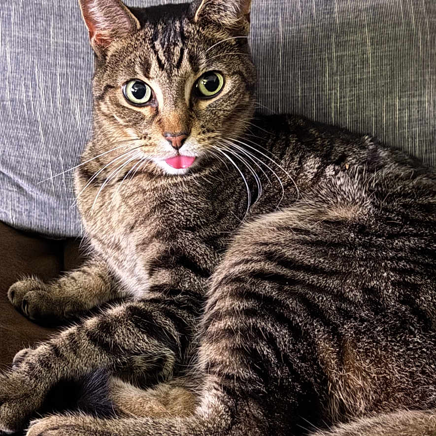 Leia