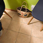 Clochette a rejoint le concours — aidez-le/la à gagner de superbes lots ! cat, basket, indoor, tile_floor, green_wall, furniture_leg, curious, tabby_cat, pet, animal, cozy, home, floor_tiles, woven_basket, resting, cute, domestic_cat, peek, relaxed, feline