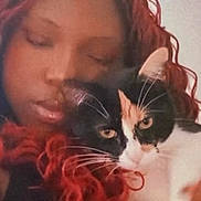 Callie joined the competition — help win amazing prizes! affection, animal, calico_cat, cat, close_up, companion, cozy, curly_hair, cute, eyes, face, fur, indoor, love, person, pet, portrait, red_hair, snuggle, whiskers