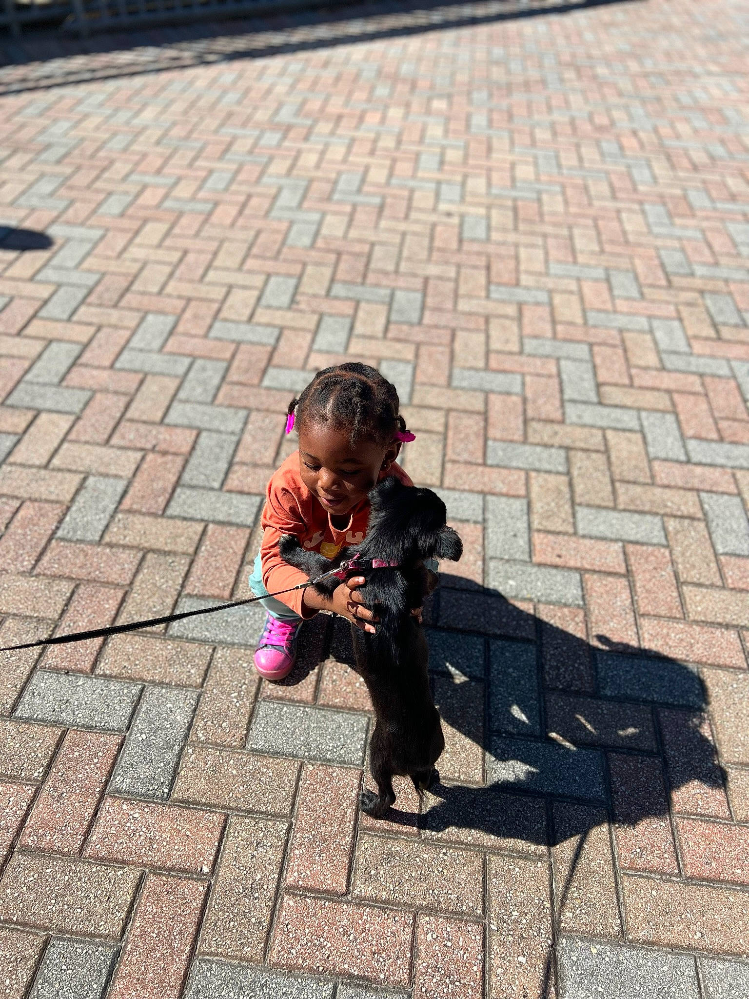 Genesis is registered to the contest to win money with this photo: asphalt, child, city, cobblestone, flagstone, flooring, grass, leisure, pattern, pedestrian, person, road, road_surface, shadow, sidewalk, sitting, street, tints_and_shades, toddler, tree