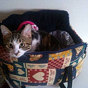 Tina participe au concours pour gagner de l'argent avec cette photo :