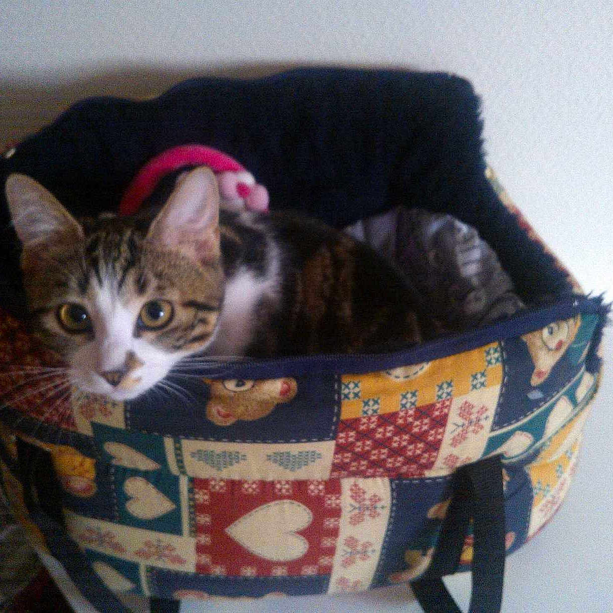 Tina