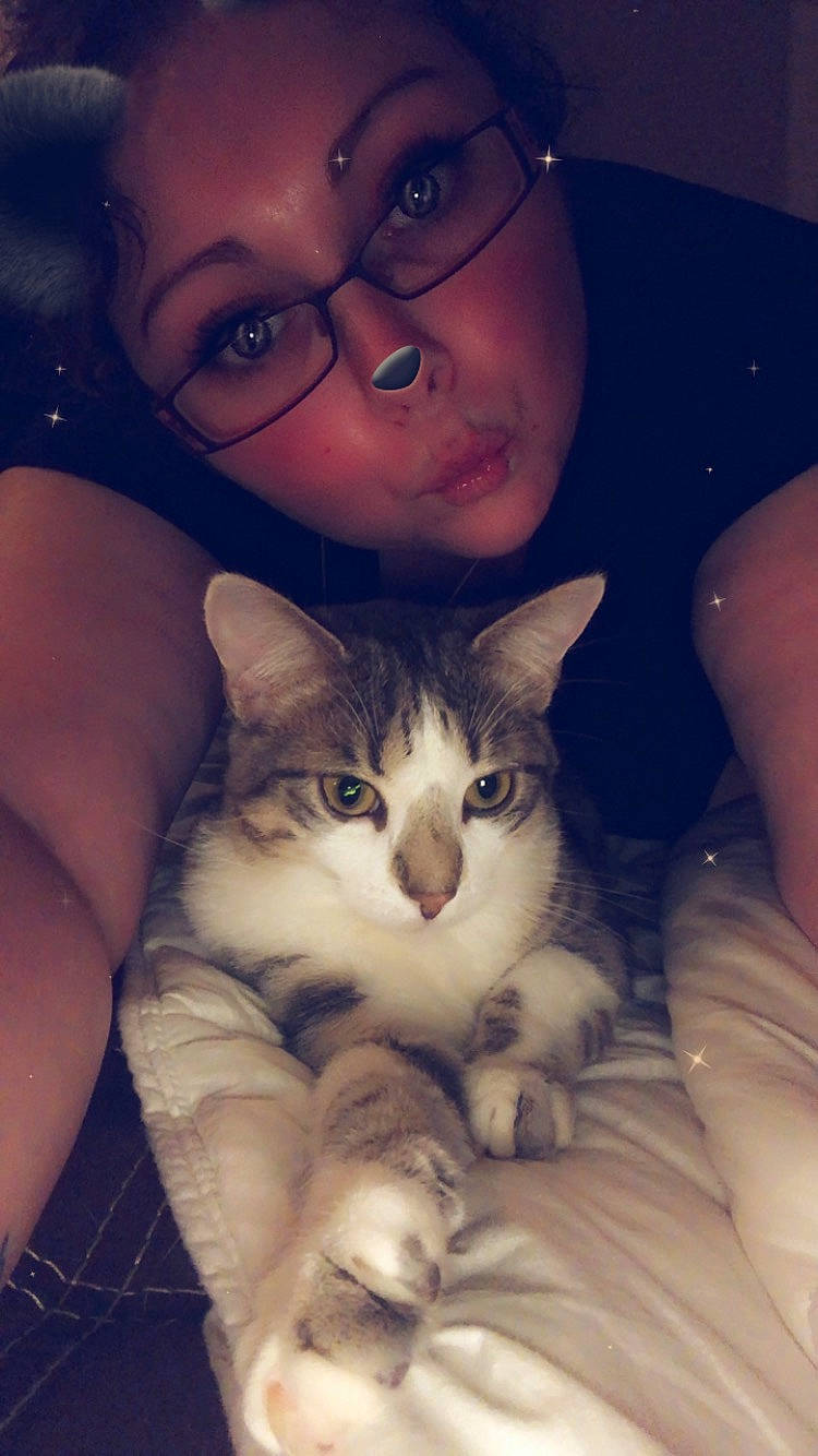 Mistigri a rejoint le concours — aidez-le/la à gagner de superbes lots ! asian, carnivore, cat, cheek, child, ear, european_shorthair, eye, face, felidae, fur, glasses, hand, kitten, leg, mouth, nose, skin, small_to_medium_sized_cats, whiskers