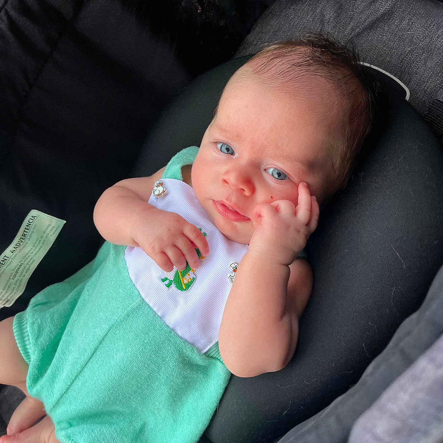Evo is registered to the contest to win money with this photo: baby, bib, blue_eyes, car_seat, child, clothing, cushion, cute, expression, face, green_outfit, hand, indoor, infant, newborn, portrait, resting, seat_belt, skin, soft_fabric