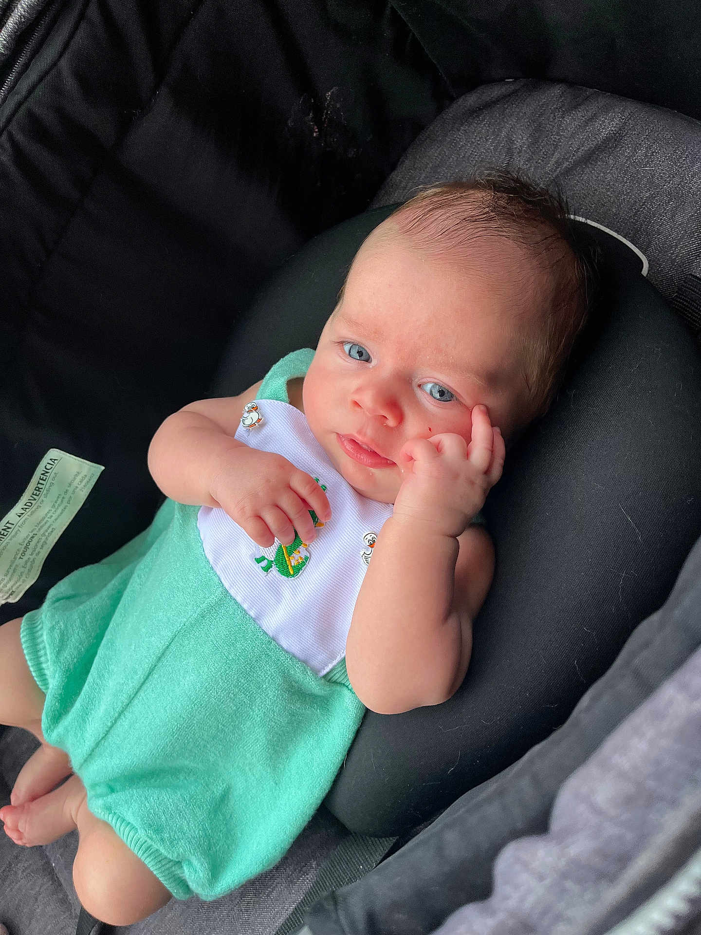 Evo is registered to the contest to win money with this photo: baby, bib, blue_eyes, car_seat, child, clothing, cushion, cute, expression, face, green_outfit, hand, indoor, infant, newborn, portrait, resting, seat_belt, skin, soft_fabric