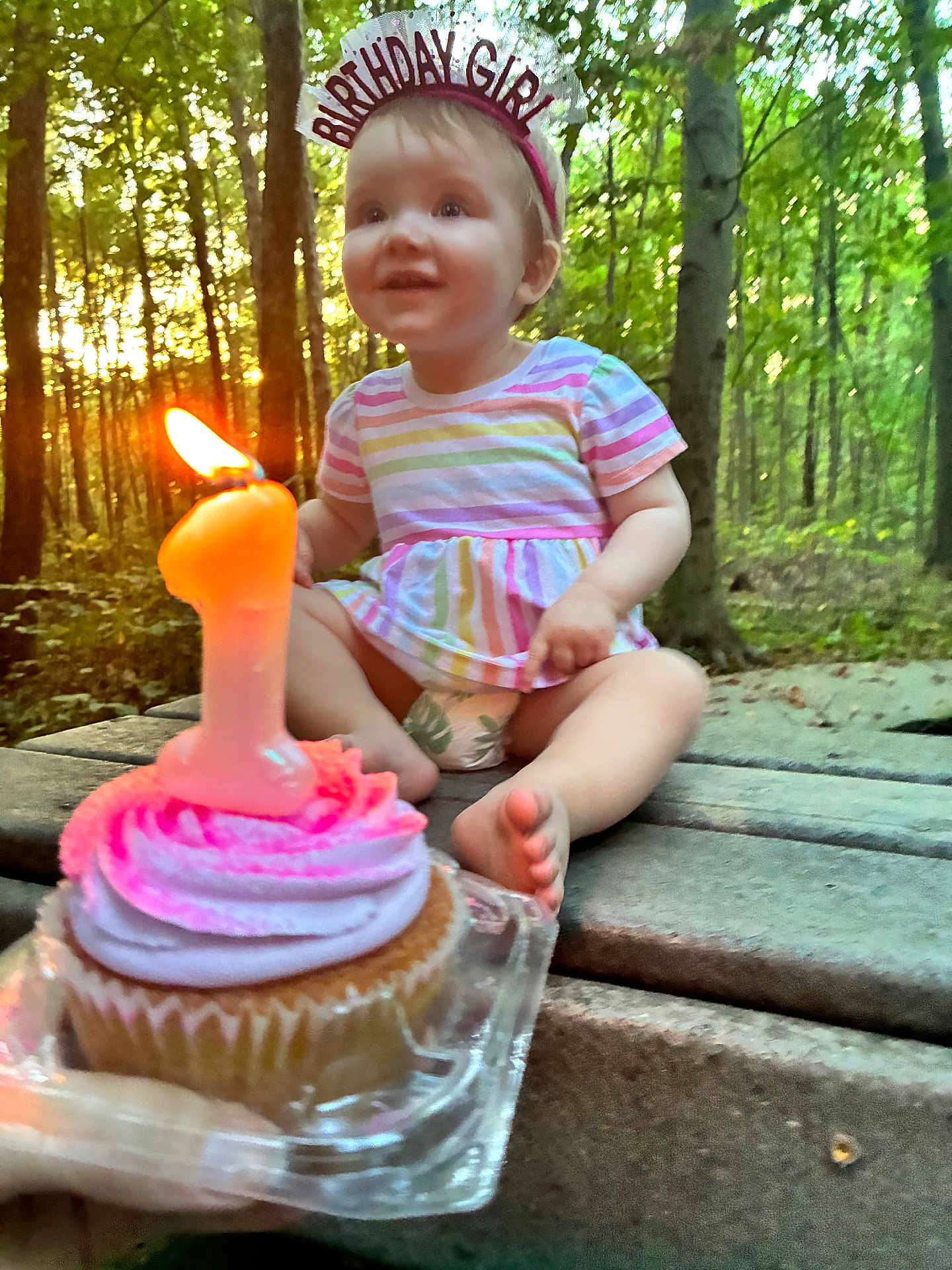 Azelia Lynn is registered to the contest to win money with this photo: toddler, birthday, cupcake, candle, outdoor, forest, trees, headband, striped_clothing, smiling, baby, celebration, child, happy, wooden_surface, nature, first_birthday, party, sitting, diaper