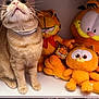 Toby is registered to the contest to win money with this photo: cat, orange_tabby, plush_toys, garfield, shelf, stuffed_animals, pet, feline, toy_collection, indoor, cute, curious, whiskers, collar, orange, soft_toys, playful, animal, pet_cat, sitting