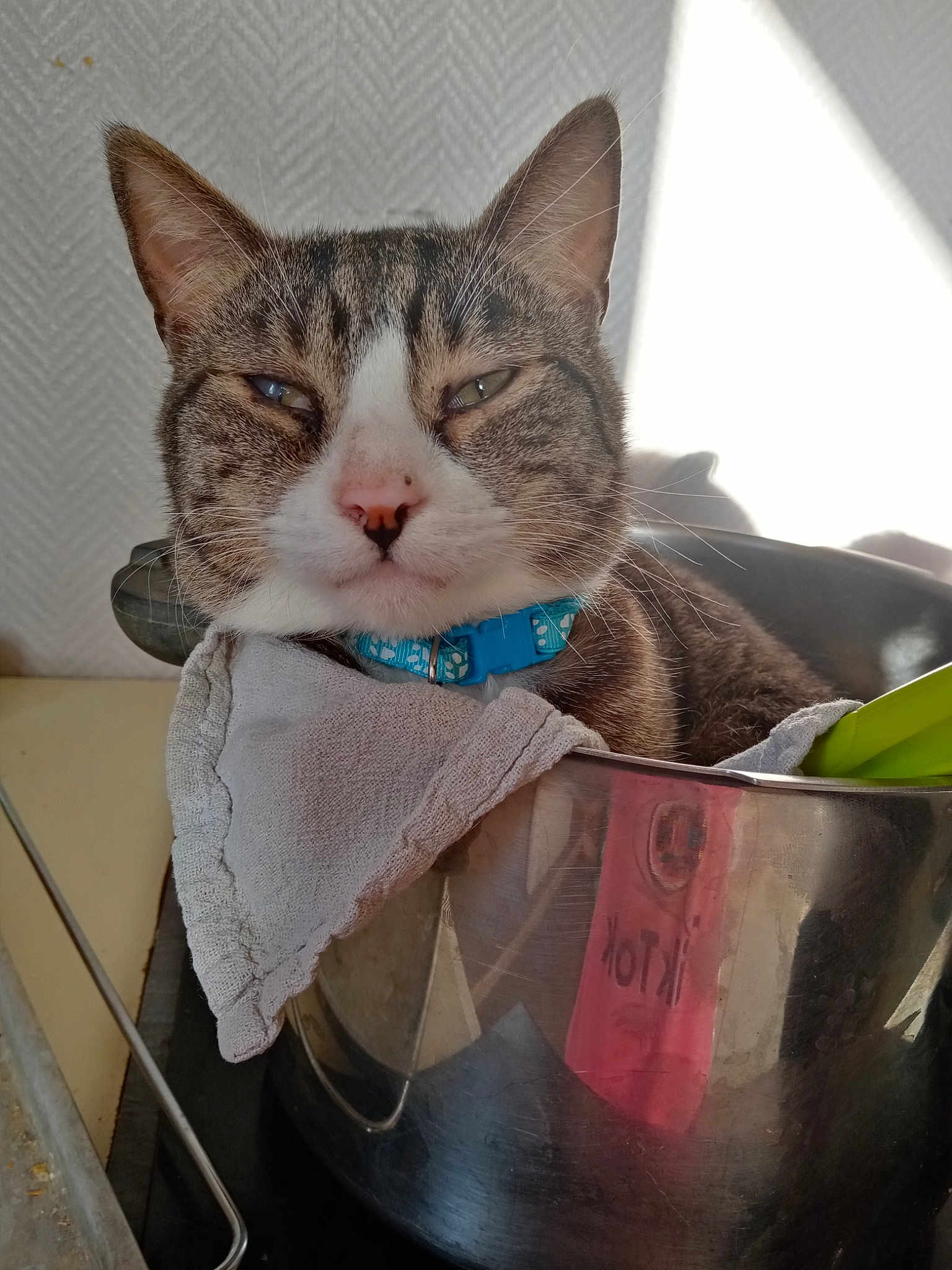 Minette