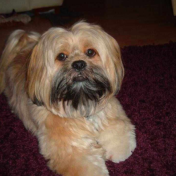 Tilly is registered to the contest to win money with this photo: