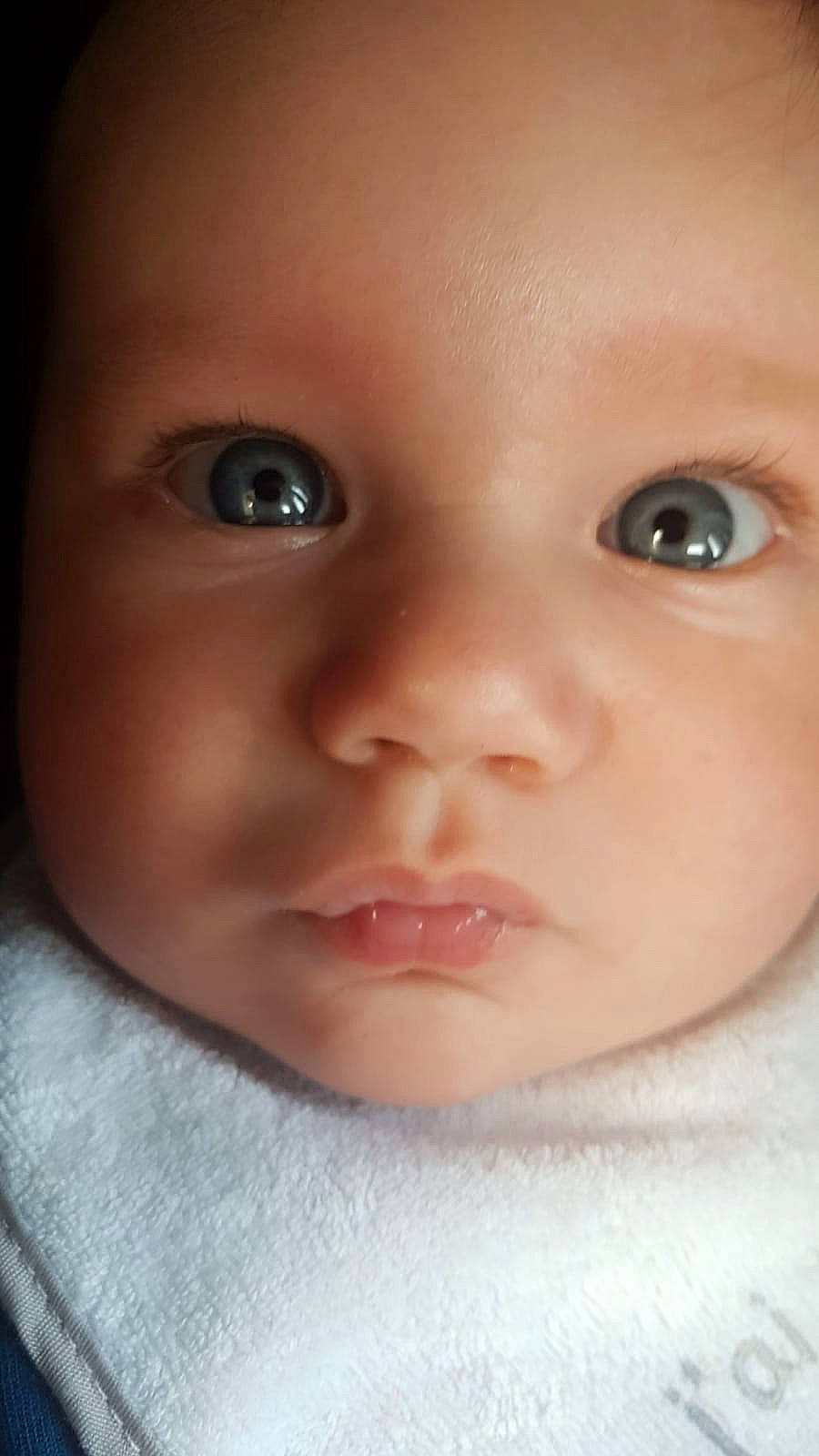 Darius Ariann participe au concours pour gagner de l'argent avec cette photo : baby, cheek, child, chin, close_up, eye, eyebrow, eyelash, face, forehead, head, iris, lip, mouth, nose, organ, person, skin, smile, toddler